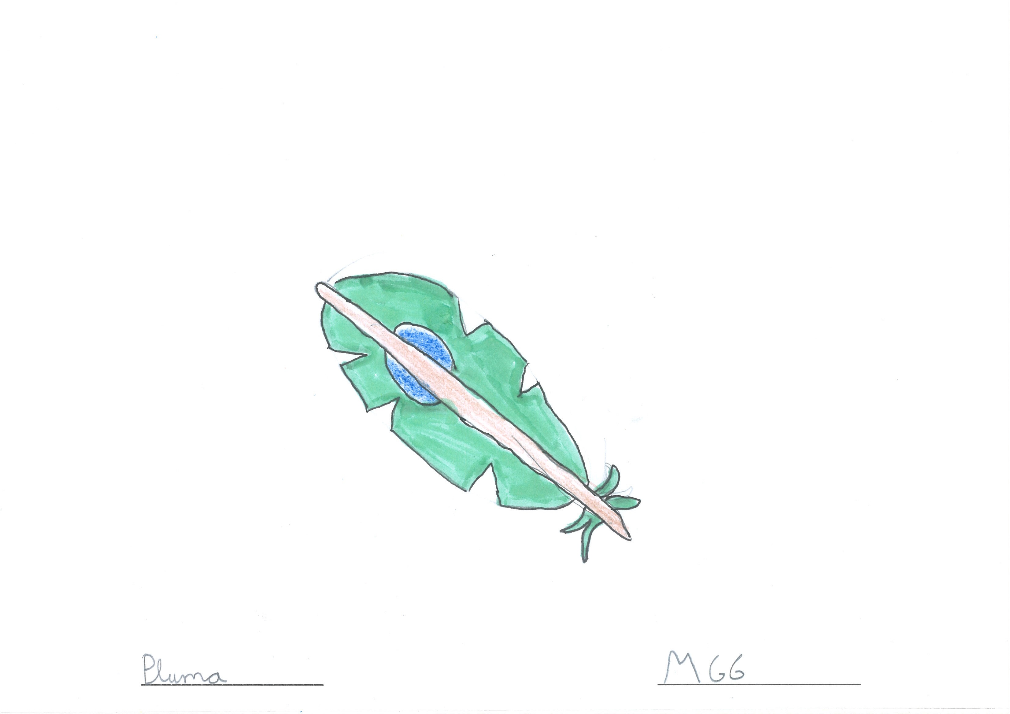 pluma